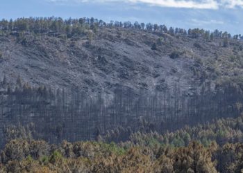 El incendio de Guadalajara arrasa ya 26.000 hectáreas y se convierte en el mayor de la historia de Castilla-La Mancha