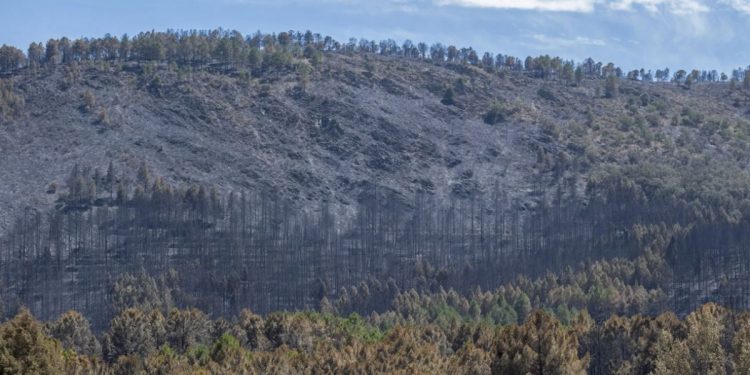 El incendio de Guadalajara arrasa ya 26.000 hectáreas y se convierte en el mayor de la historia de Castilla-La Mancha