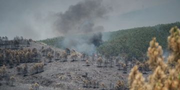Los incendios forestales se extienden en el interior peninsular: las llamas de La Mierla alcanzan Soria y el fuego de Ejulve obliga a evacuar Molinos y movilizar a la UME