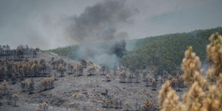 Los incendios forestales se extienden en el interior peninsular: las llamas de La Mierla alcanzan Soria y el fuego de Ejulve obliga a evacuar Molinos y movilizar a la UME