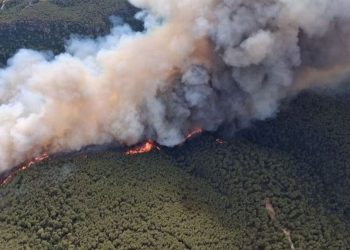La ola de incendios acorrala a varias comunidades mientras España roza las 125.000 hectáreas quemadas