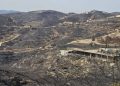 El Parlamento analiza el incendio de Almería: un fuego «extraordinario» que se propagó a 128 metros por minuto