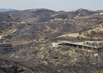 El Parlamento analiza el incendio de Almería: un fuego «extraordinario» que se propagó a 128 metros por minuto