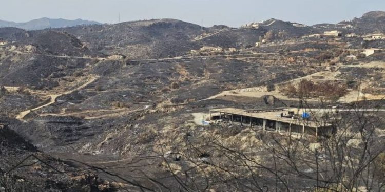 El Parlamento analiza el incendio de Almería: un fuego «extraordinario» que se propagó a 128 metros por minuto