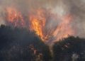 El Gobierno declara la emergencia de interés nacional por la oleada de incendios en Ávila y el suroeste de Madrid
