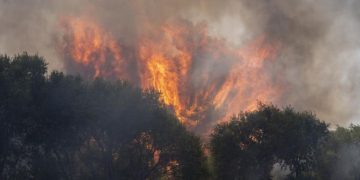 El Gobierno declara la emergencia de interés nacional por la oleada de incendios en Ávila y el suroeste de Madrid