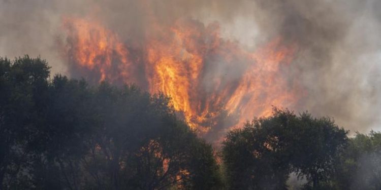 El Gobierno declara la emergencia de interés nacional por la oleada de incendios en Ávila y el suroeste de Madrid