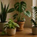 Plantas de interior fáciles de cuidar: guía práctica para acertar a la primera