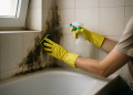 Cómo eliminar la humedad y el moho del baño: guía práctica y hábitos que evitan su regreso
