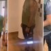 El detenido por el devastador incendio de Ávila usó maquinaria prohibida durante días para abrir caminos