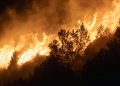 Incendios en España, en directo: vigilancia máxima en Madrid, Ávila, Toledo y Castellón