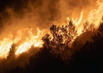 Incendios en España, en directo: vigilancia máxima en Madrid, Ávila, Toledo y Castellón