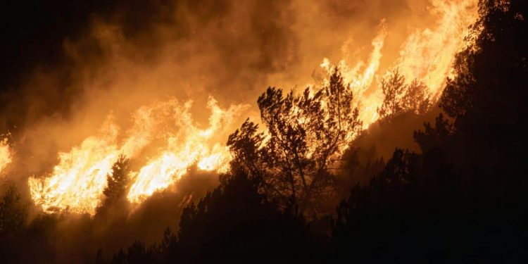 Incendios en España, en directo: vigilancia máxima en Madrid, Ávila, Toledo y Castellón