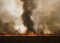 El humo de los incendios puede dañar los pulmones a kilómetros del fuego: síntomas y cómo protegerse