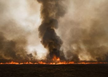 El humo de los incendios puede dañar los pulmones a kilómetros del fuego: síntomas y cómo protegerse