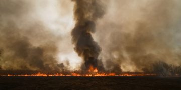 El humo de los incendios puede dañar los pulmones a kilómetros del fuego: síntomas y cómo protegerse