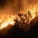 Los incendios forestales en España no dan tregua: se estabilizan unos focos y surgen otros en plena ola de calor