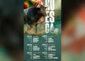 Feria de la Albahaca de Huesca 2026: fechas, carteles y entradas para ver a Roca Rey, Talavante y Emilio de Justo