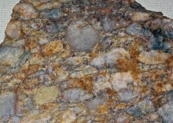 Una madera fosilizada revela 300 millones de años de historia geológica desde la era de Pangea
