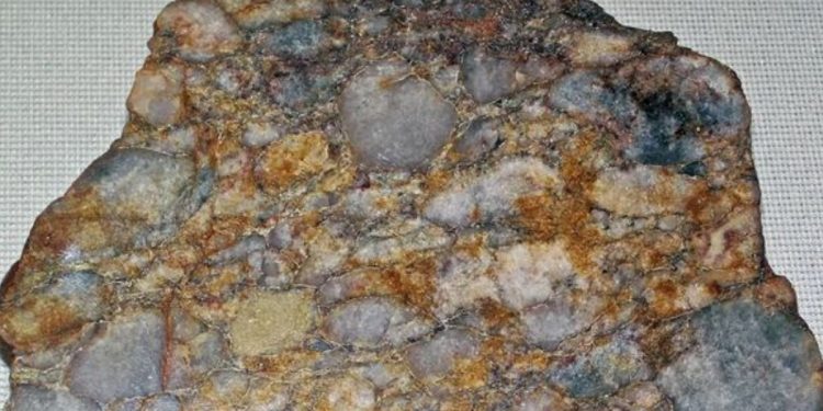 Una madera fosilizada revela 300 millones de años de historia geológica desde la era de Pangea
