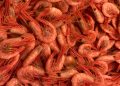 Alerta alimentaria por salmonela en langostinos congelados de Ocean Sea: comprueba el lote afectado