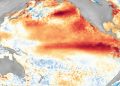 NOAA eleva al 81% la probabilidad de un El Niño muy fuerte, pero los expertos piden cautela ante los pronósticos extremos