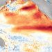 NOAA eleva al 81% la probabilidad de un El Niño muy fuerte, pero los expertos piden cautela ante los pronósticos extremos