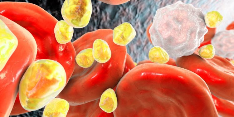 Una terapia contra el colesterol reduce contaminantes PFAS y apunta a un posible efecto sobre los microplásticos
