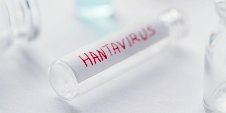 Sanidad confirma un caso de hantavirus Andes en un turista que se encuentra aislado en Galicia
