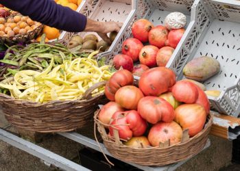 El campo español eleva la presión contra Marruecos por la competencia agrícola y reclama más controles