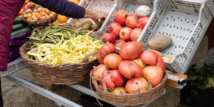 El campo español eleva la presión contra Marruecos por la competencia agrícola y reclama más controles