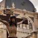 San Altmano de Passau: Obispo y pastor bávaro junto al Danubio | Santoral 8 de agosto