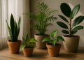 Plantas de interior fáciles de cuidar: guía para elegir y mantener tus verdes sin complicarte