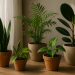 Plantas de interior fáciles de cuidar: guía para elegir y mantener tus verdes sin complicarte