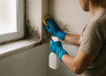 Cómo eliminar la humedad y el moho del baño: guía práctica y medidas para prevenirlos