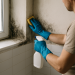 Cómo eliminar la humedad y el moho del baño: guía práctica y medidas para prevenirlos