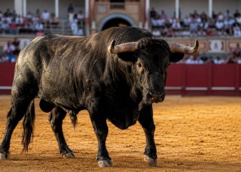 Dónde ver los toros hoy lunes 10 de agosto: horarios y televisión de Huesca y Málaga