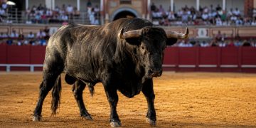 Dónde ver los toros hoy lunes 10 de agosto: horarios y televisión de Huesca y Málaga