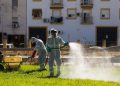 Sevilla supera los 30 casos de Virus del Nilo con Villamanrique como principal foco