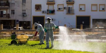 Sevilla supera los 30 casos de Virus del Nilo con Villamanrique como principal foco
