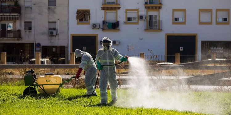Sevilla supera los 30 casos de Virus del Nilo con Villamanrique como principal foco