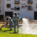 Sevilla supera los 30 casos de Virus del Nilo con Villamanrique como principal foco