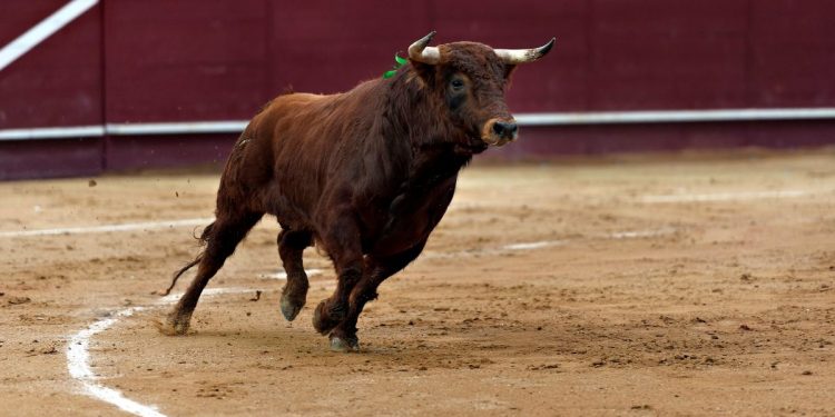 Toros hoy jueves 13 de agosto: quién torea, horarios y dónde ver las novilladas por TV y online