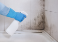 Cómo eliminar la humedad y el moho del baño: guía práctica y eficaz
