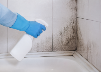 Cómo eliminar la humedad y el moho del baño: guía práctica y eficaz