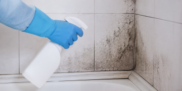 Cómo eliminar la humedad y el moho del baño: guía práctica y eficaz