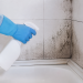 Cómo eliminar la humedad y el moho del baño: guía práctica y eficaz