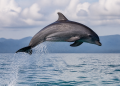 Animales con habilidades extraordinarias: curiosidades que sorprenden en la naturaleza