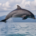 Animales con habilidades extraordinarias: curiosidades que sorprenden en la naturaleza