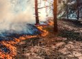 Muere un militar de la UME al caer una autobomba por un barranco durante la extinción del incendio de Riglos
